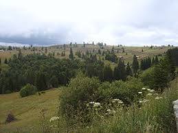 Pasul Tihuța